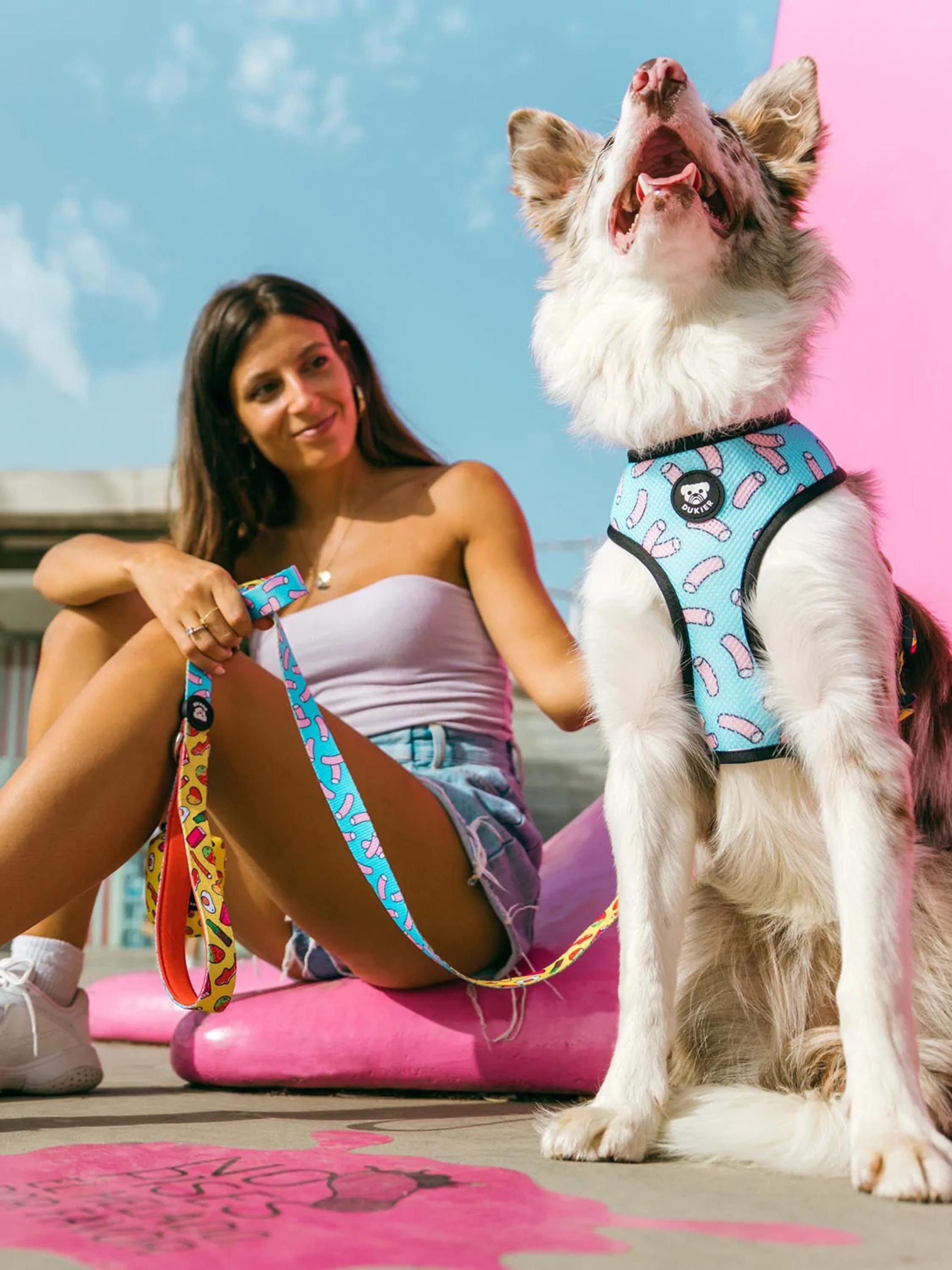 SWEETS REVERSIBLE DOG HARNESS