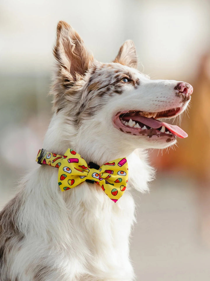 SWEETS BOW TIE FOR DOGS