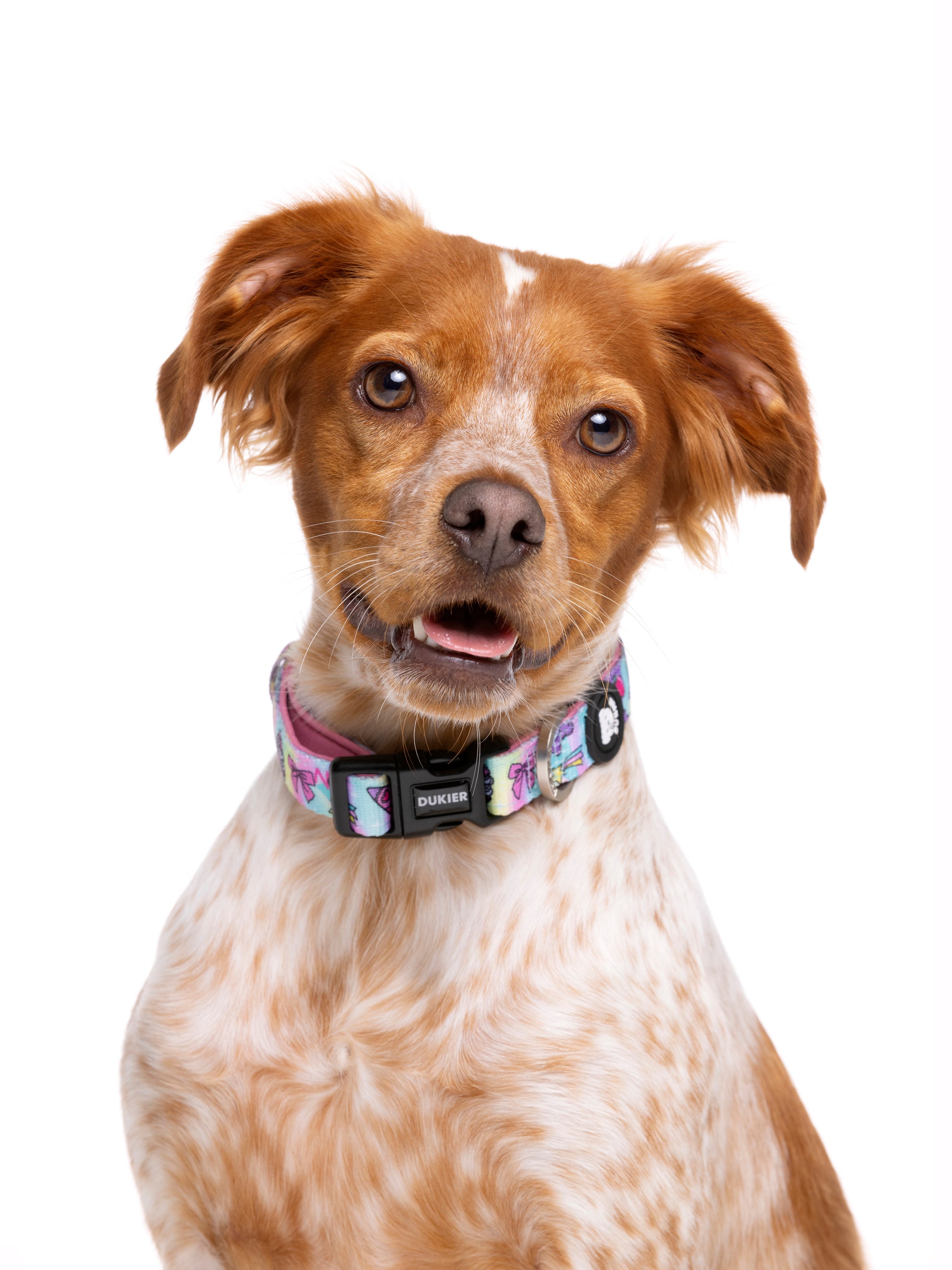 Galaxy dog hot sale collar
