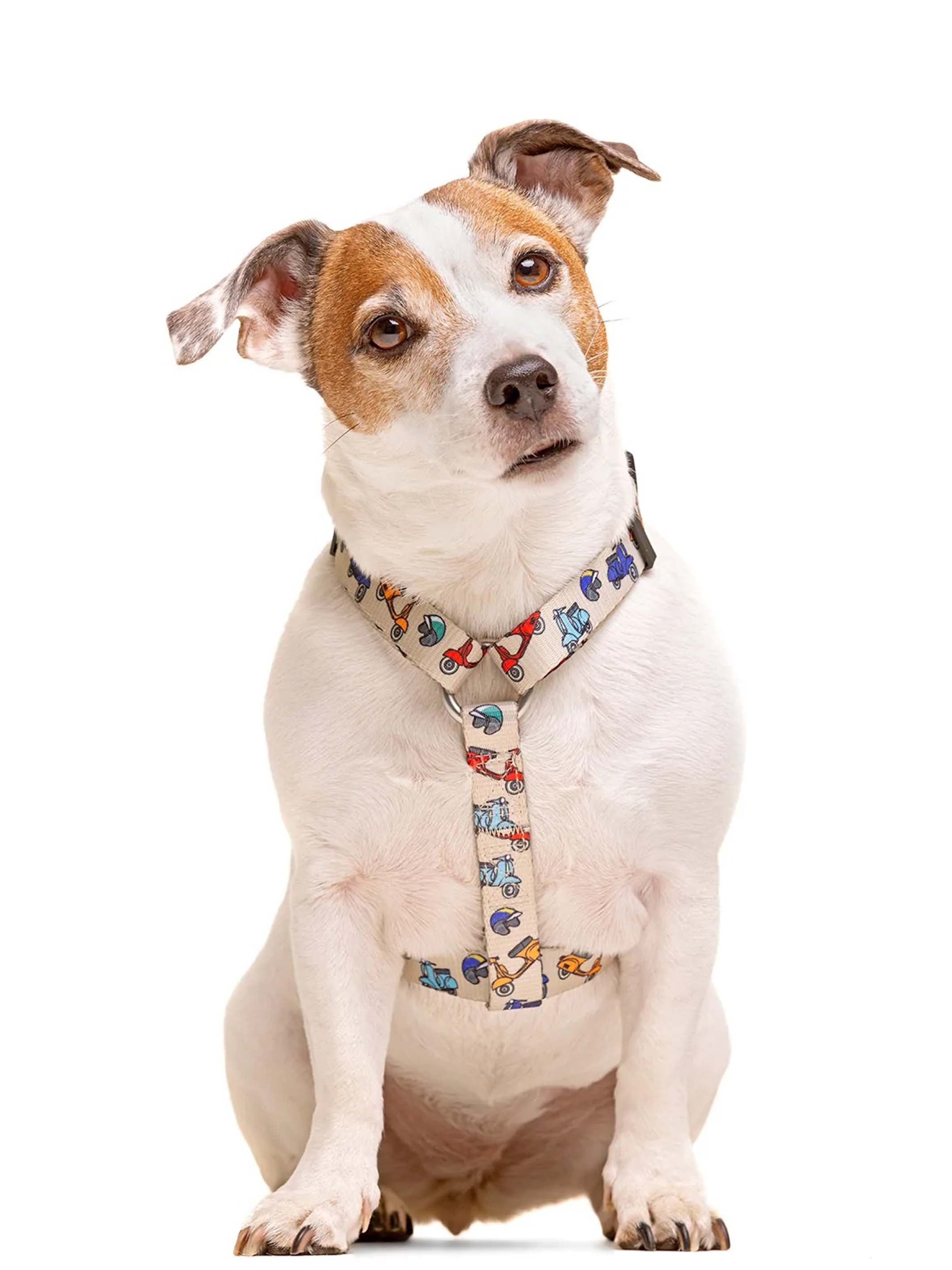 SCOOTER CLASSIC DOG HARNESS