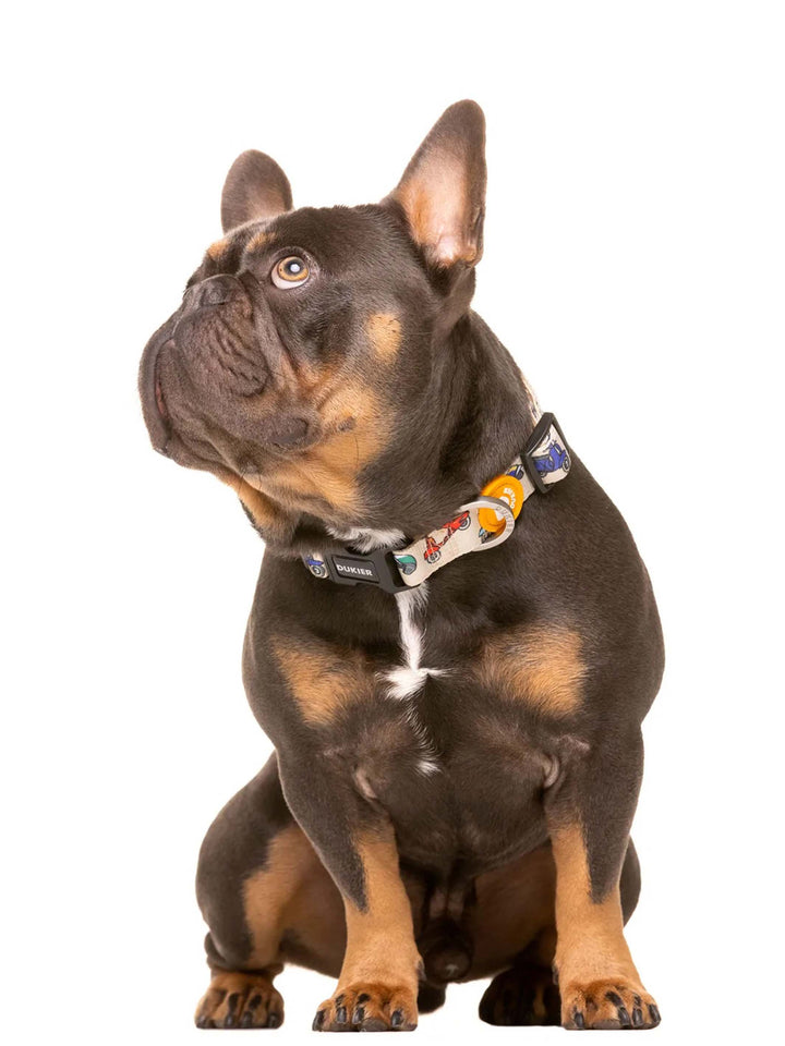 SCOOTER DOG COLLAR