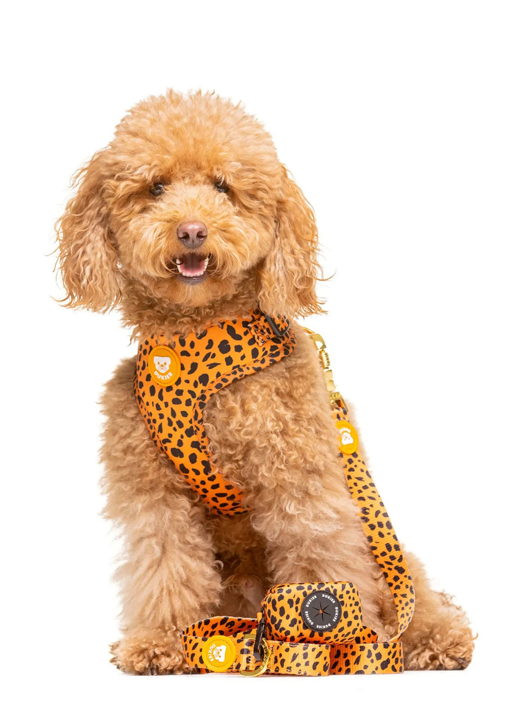 CHEETAH GOLD LEASH FOR DOGS