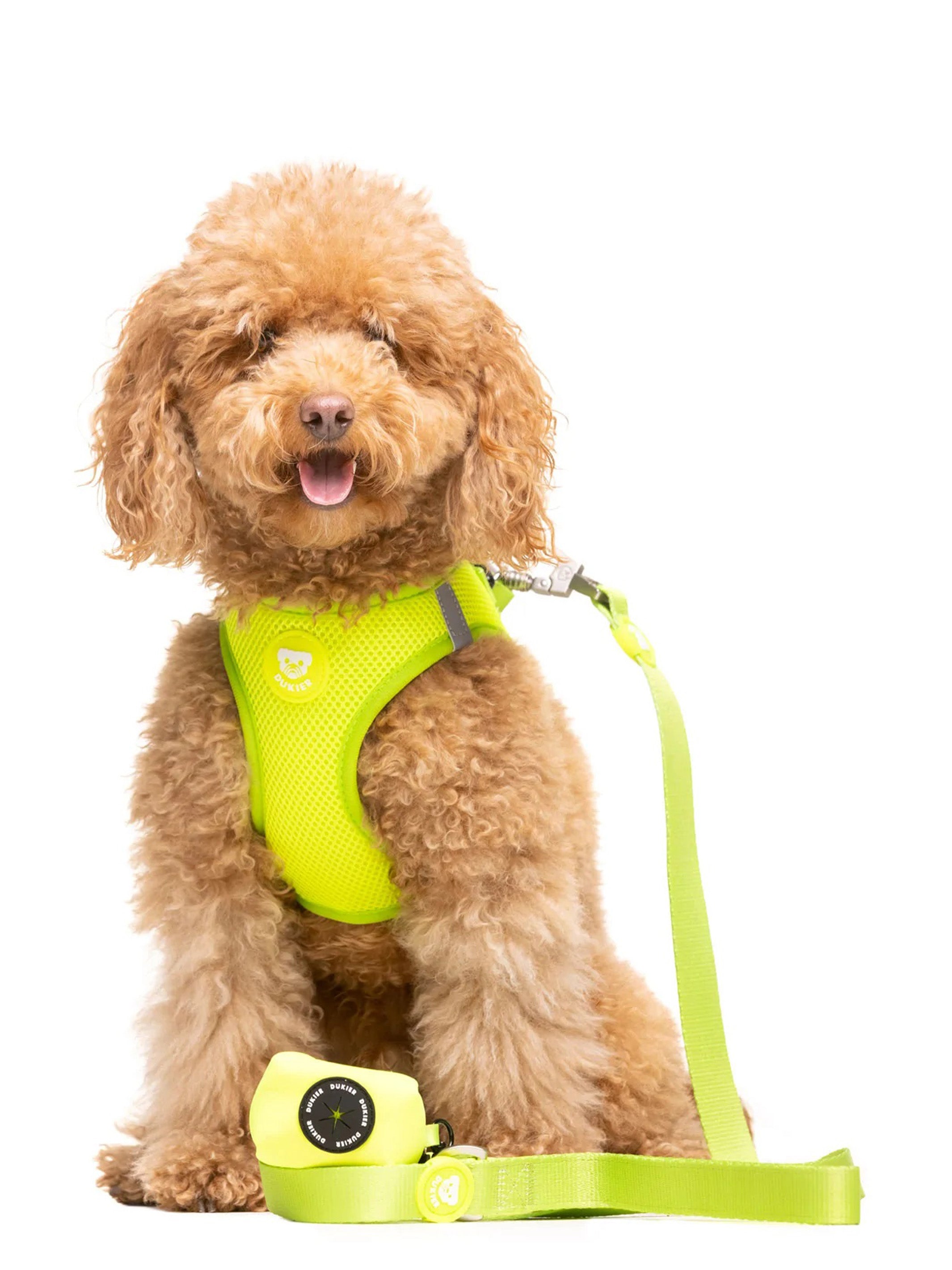 LIME LEASH FOR DOGS
