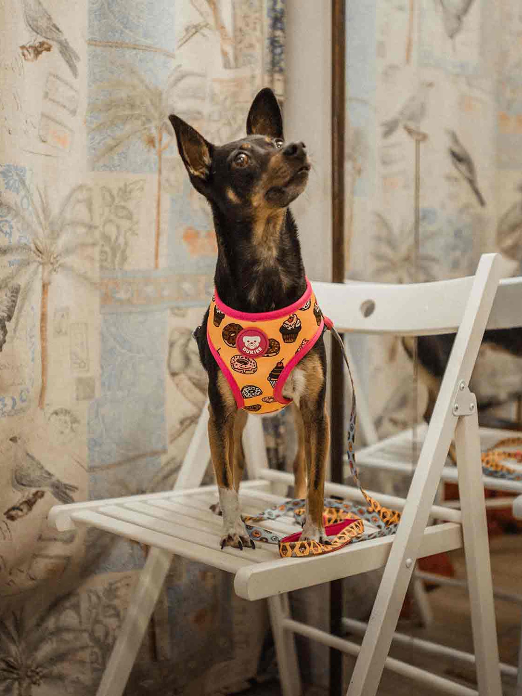 REVERSIBLE CUPCAKES HARNESS FOR DOGS