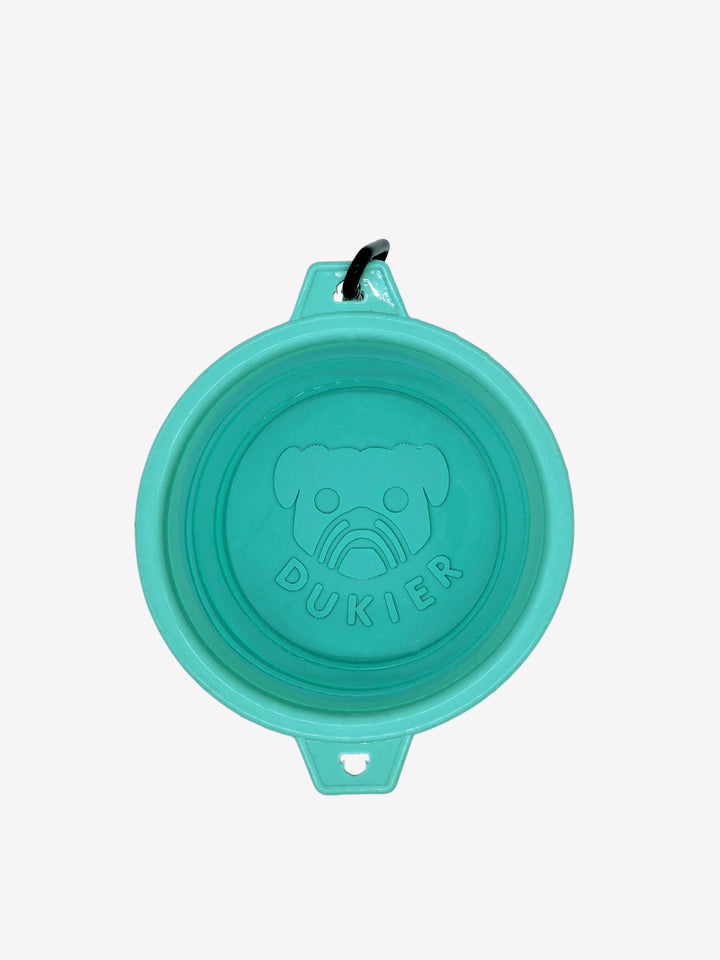 POP UP DOG BOWL MINT