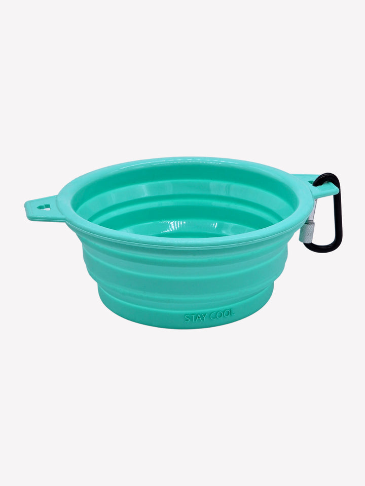 POP UP DOG BOWL MINT