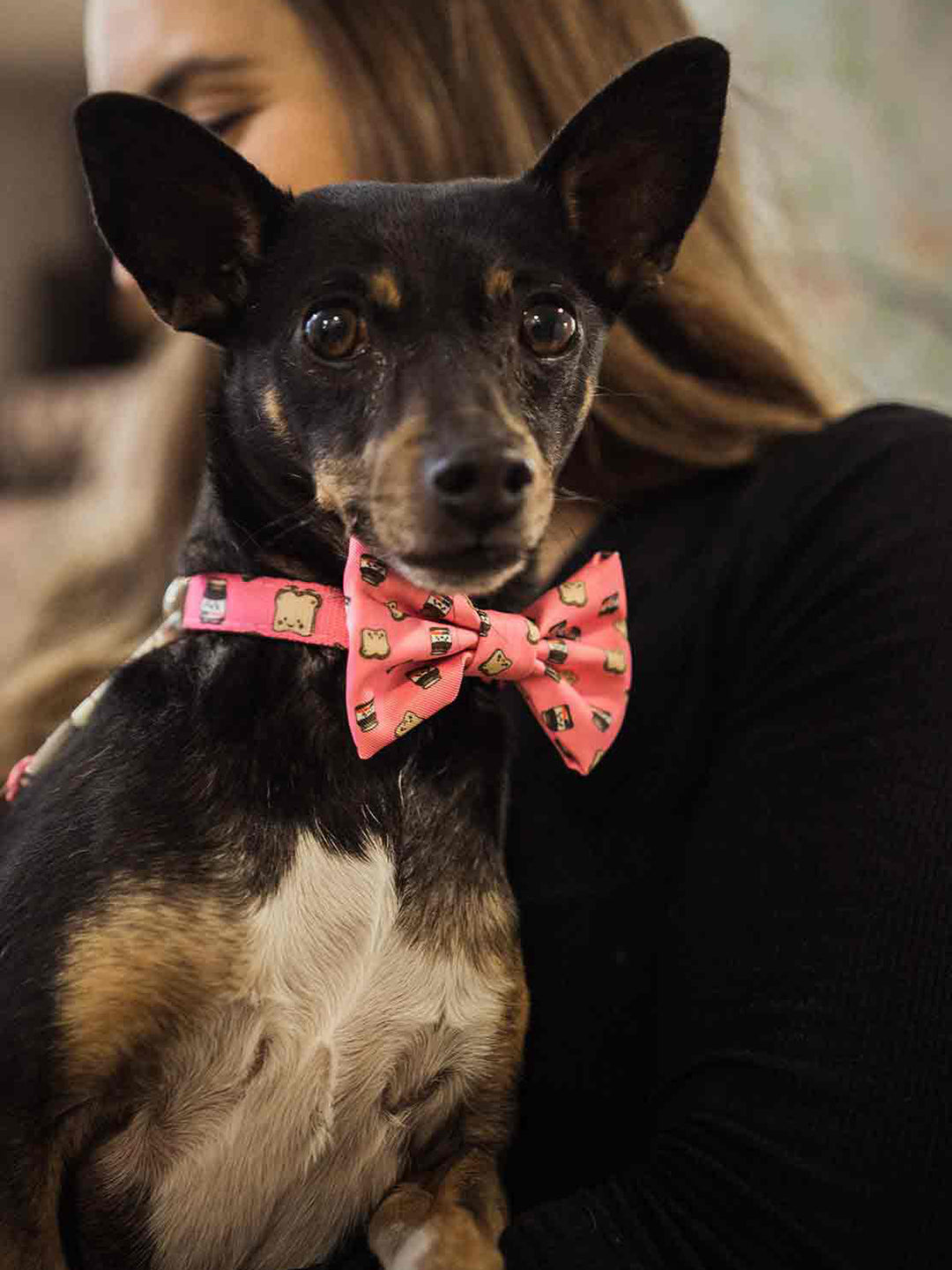 DOGTELLA BOW TIE FOR DOGS