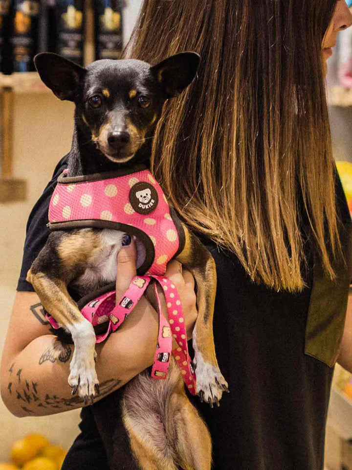 GUINZAGLIO PER CANI DOGTELLA 