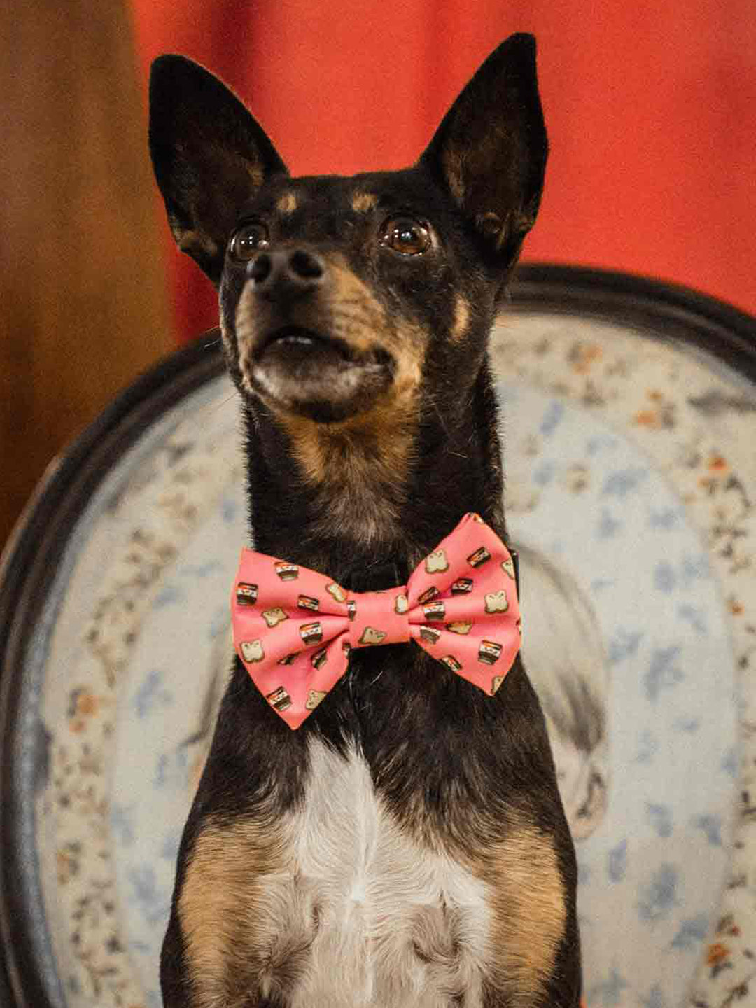 DOGTELLA BOW TIE FOR DOGS