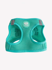 BODY BASICS HARNESSES