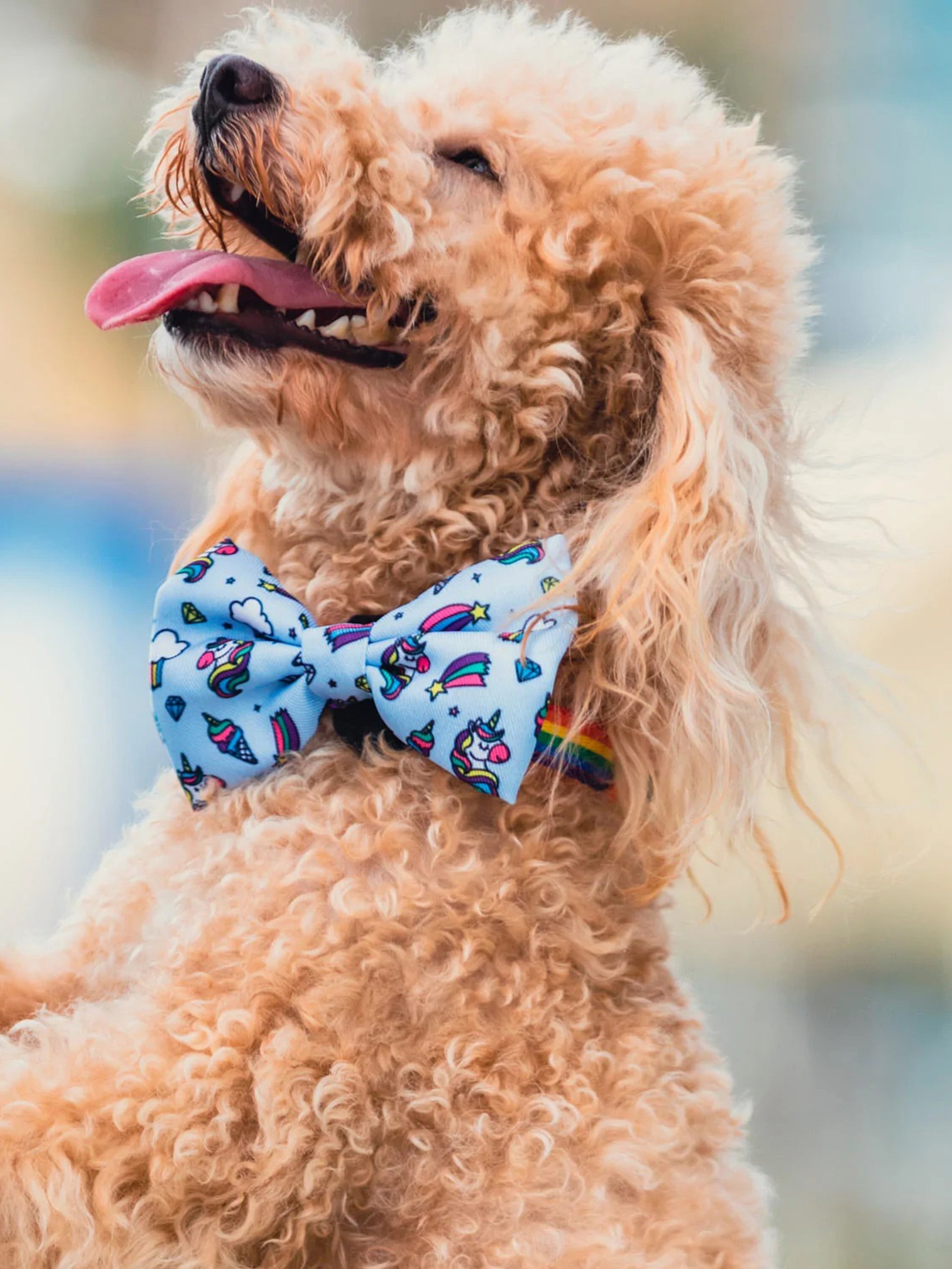 UNICORNS BOW TIE FOR DOGS