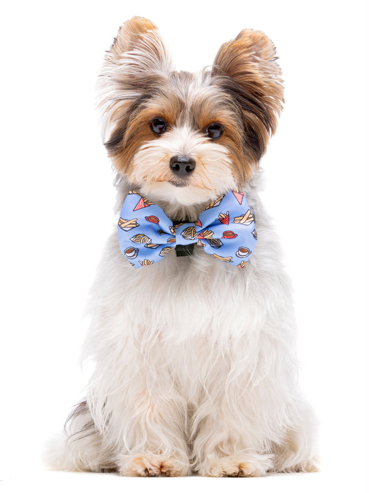 NOEUD PAPILLON CHURROS POUR CHIEN