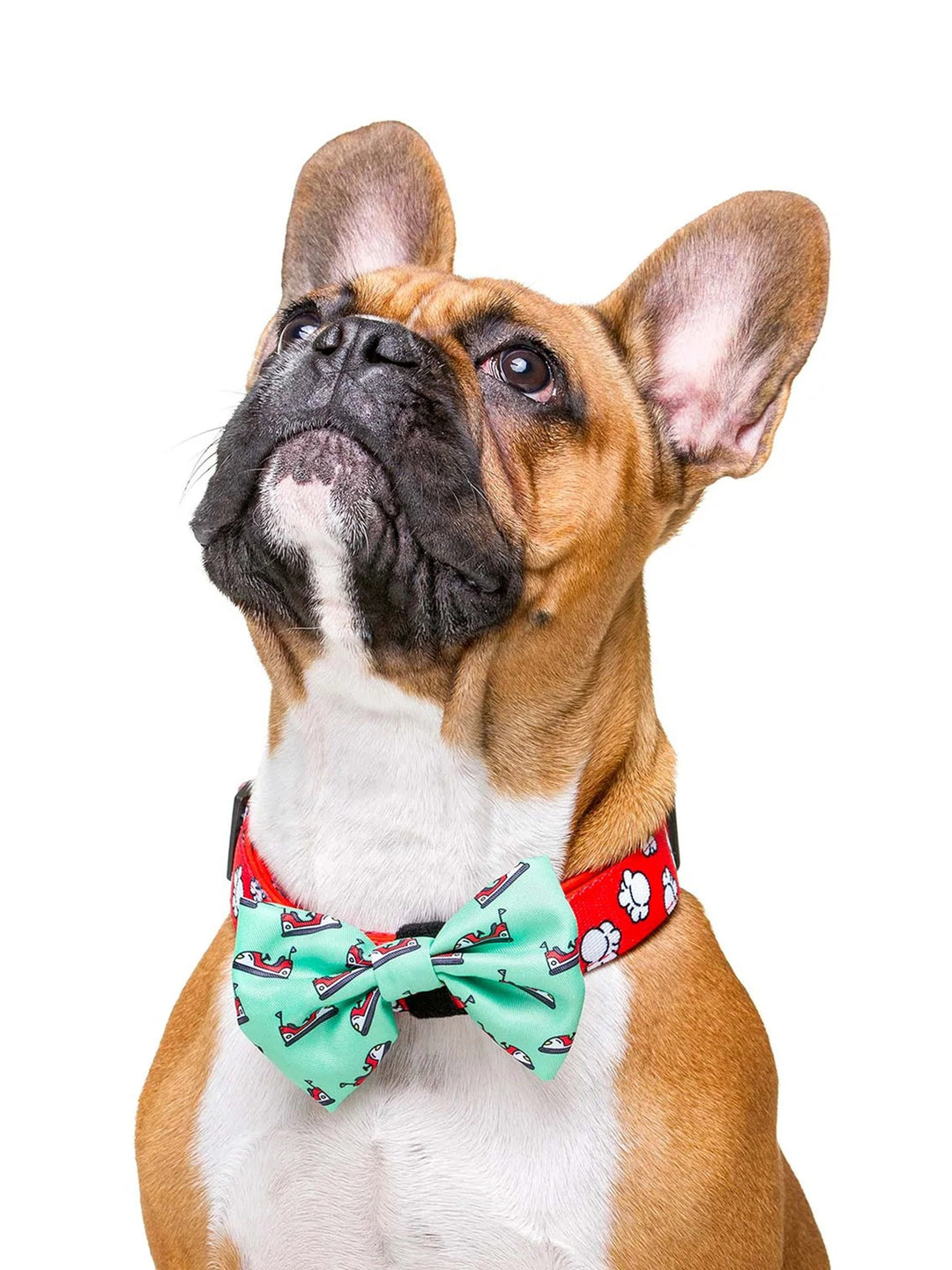 POPCORN BOW TIE FOR DOGS