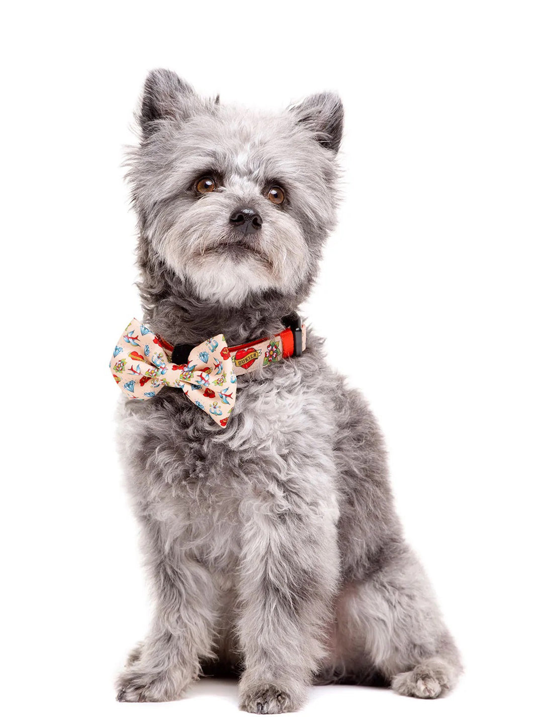 TATTOO BOW TIE FOR DOGS