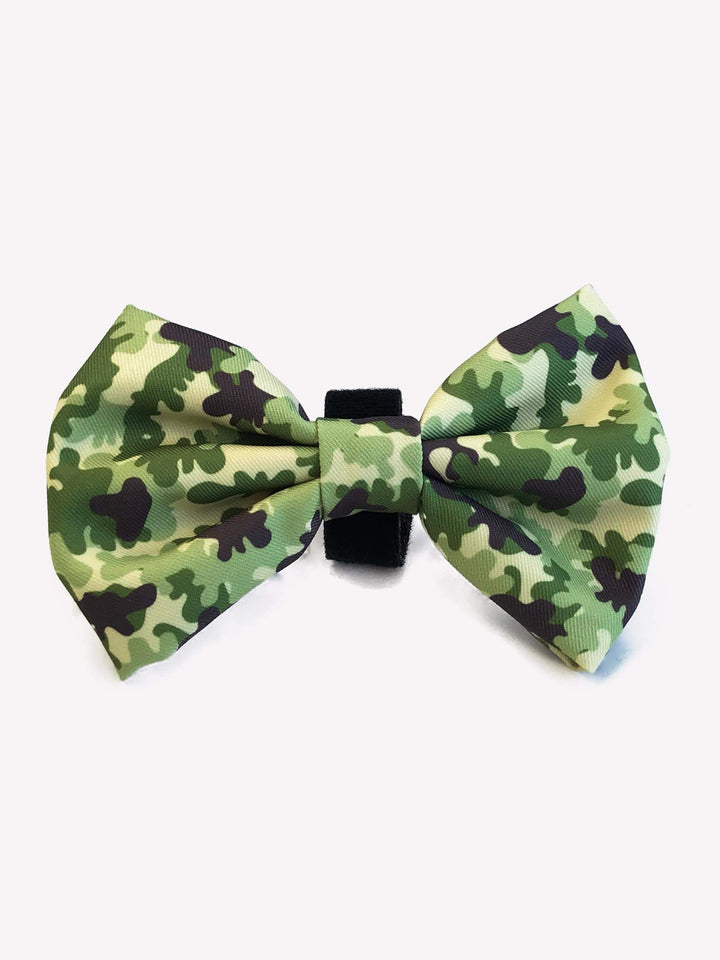 PAJARITA CAMO