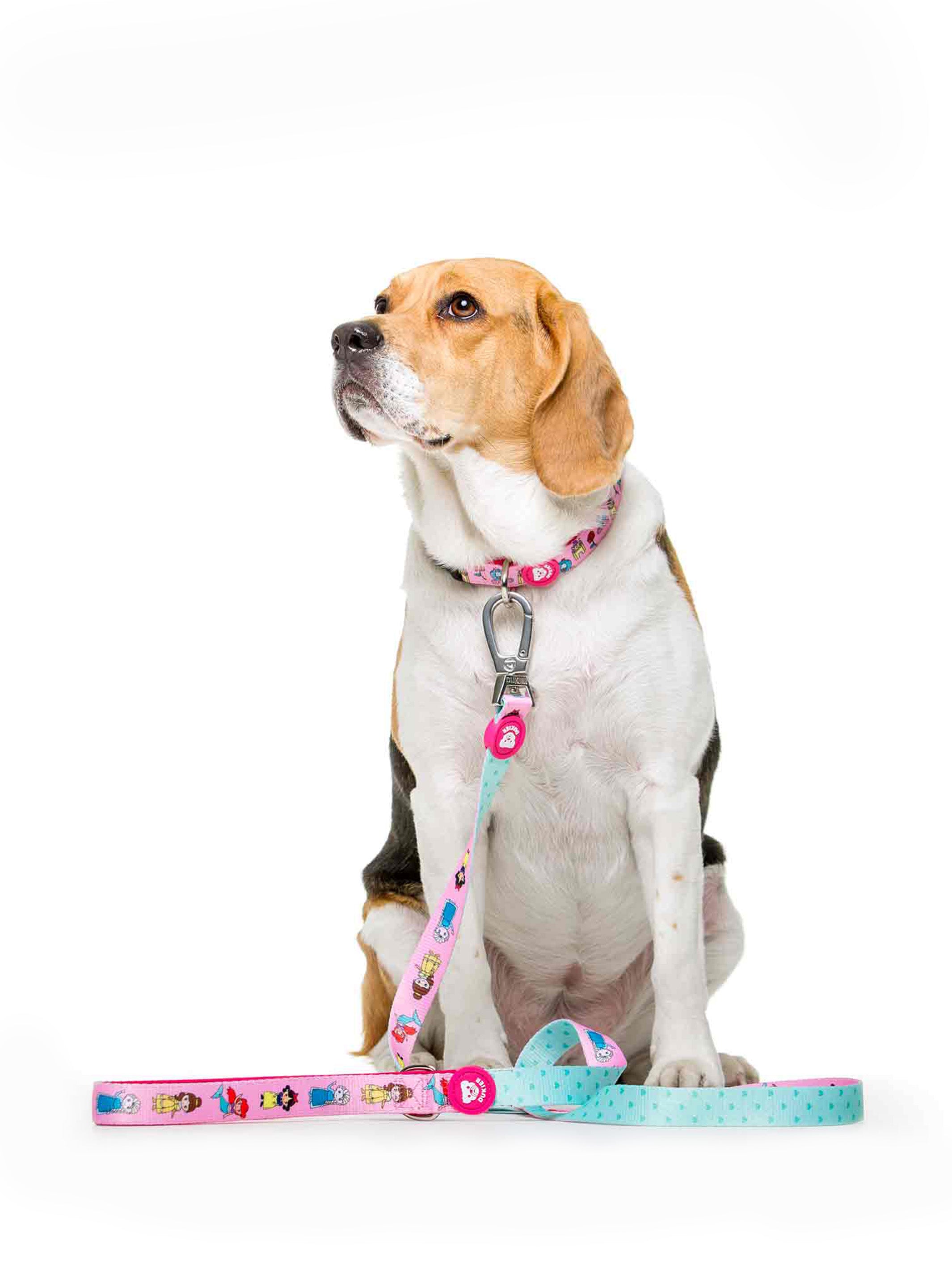 LEOPARD LEASH FOR DOGS