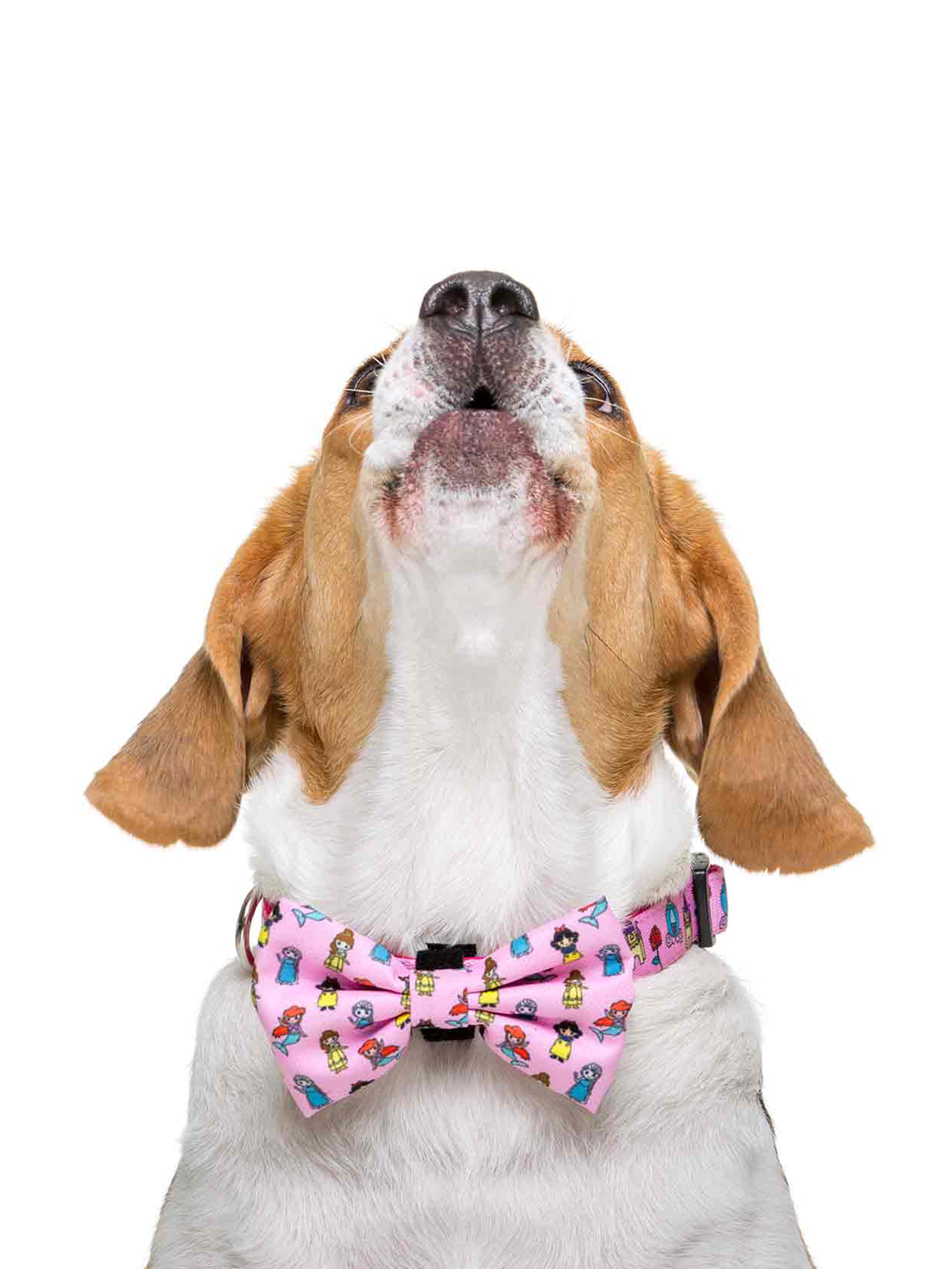 PRINCESS BOW TIE FOR DOGS