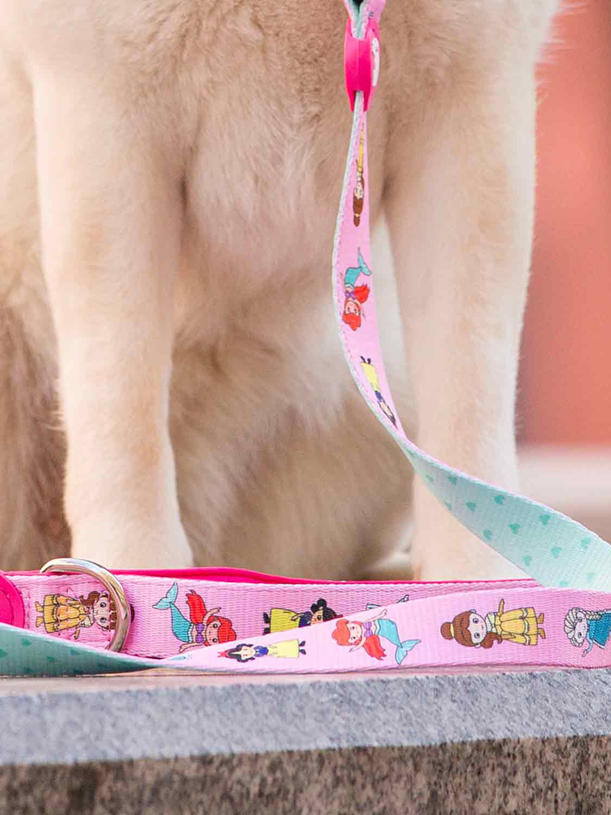 LEOPARD LEASH FOR DOGS
