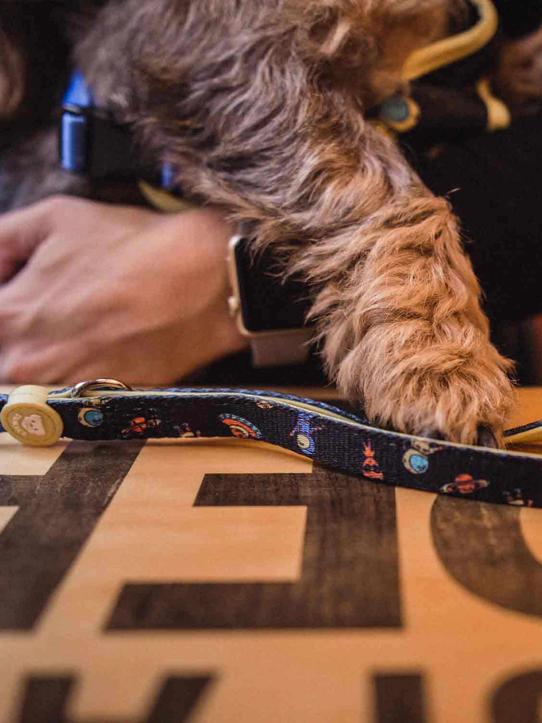 SPACE LEASH FOR DOGS