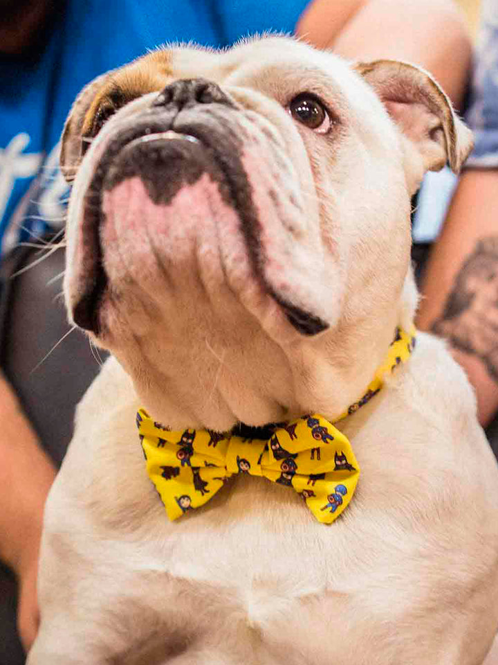 SUPERDOG BOW TIE FOR DOGS