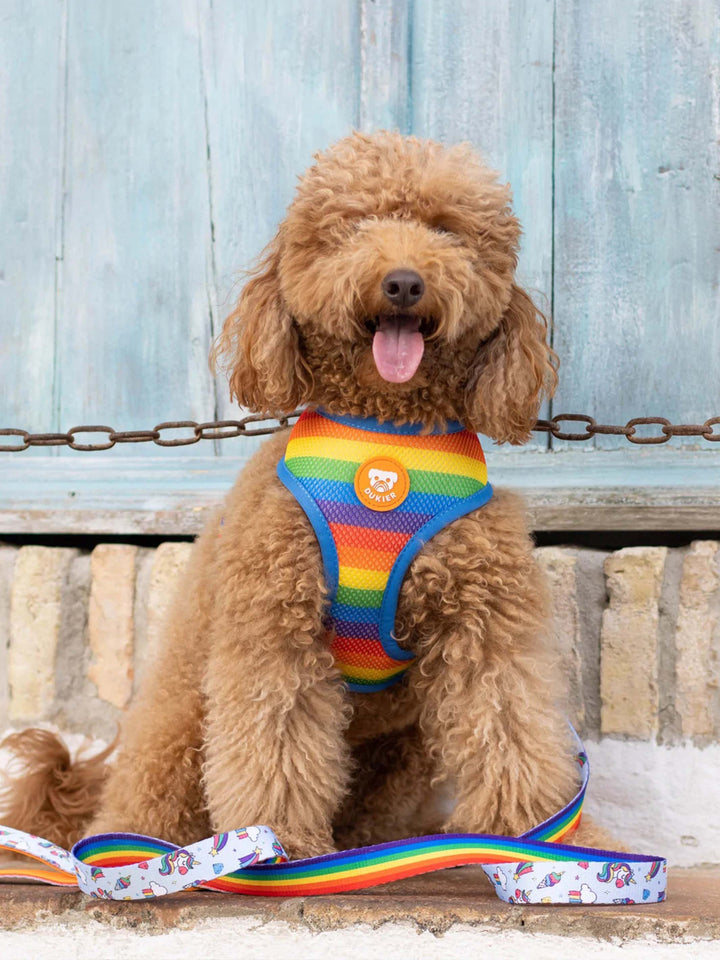 UNICORNS REVERSIBLE DOG HARNESS