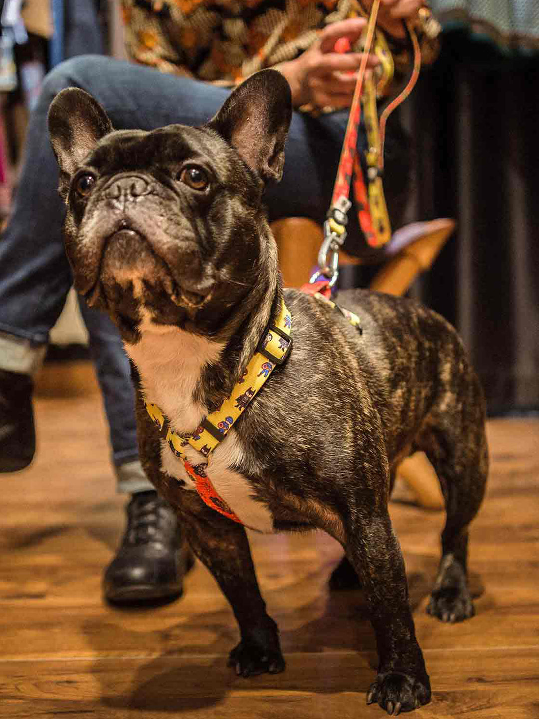 CLASSIC SUPERDOG DOG HARNESS