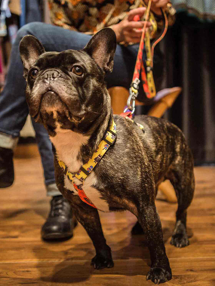 CLASSIC SUPERDOG DOG HARNESS