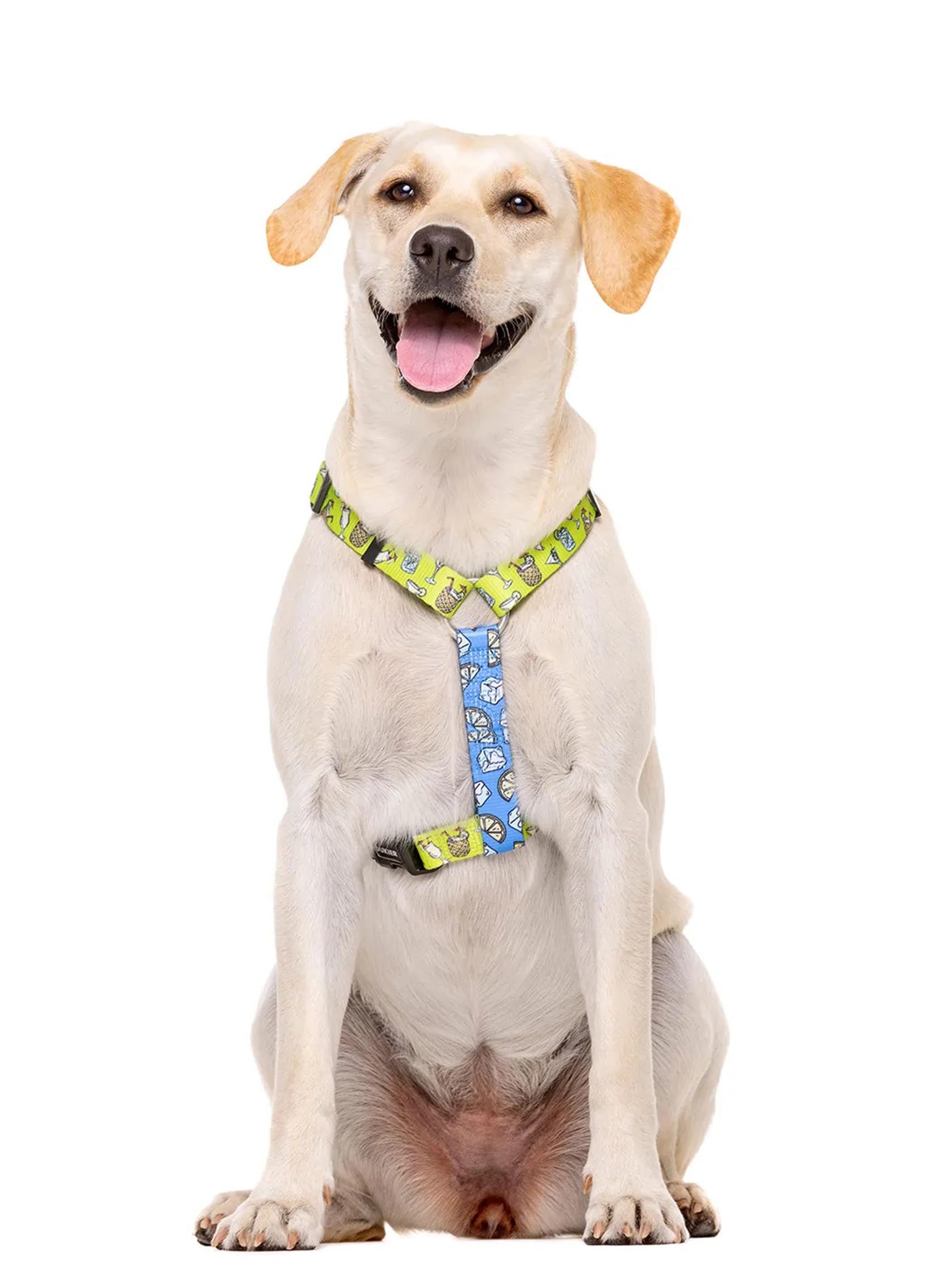COCKTAIL CLASSIC DOG HARNESS