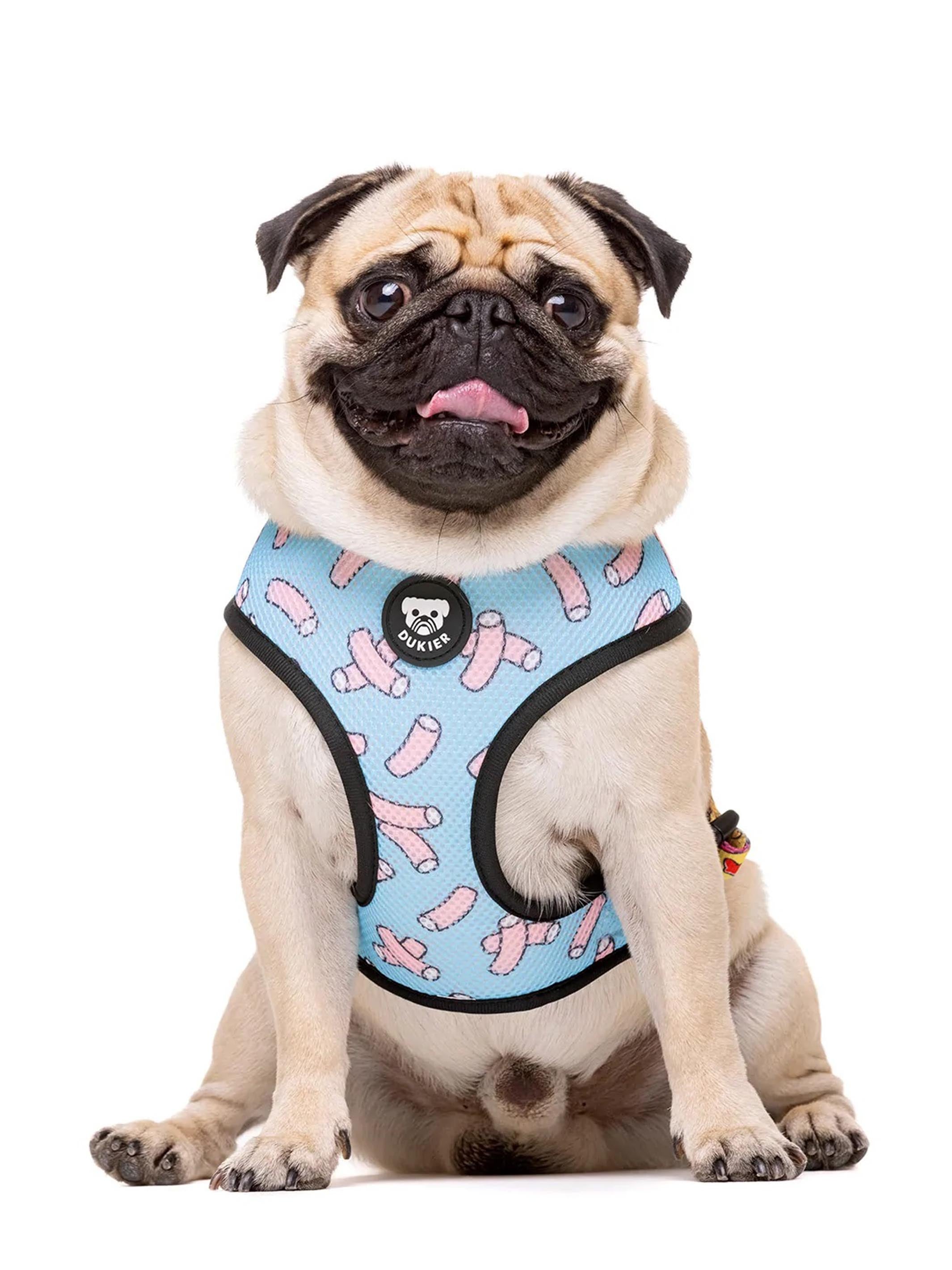 SWEETS REVERSIBLE DOG HARNESS
