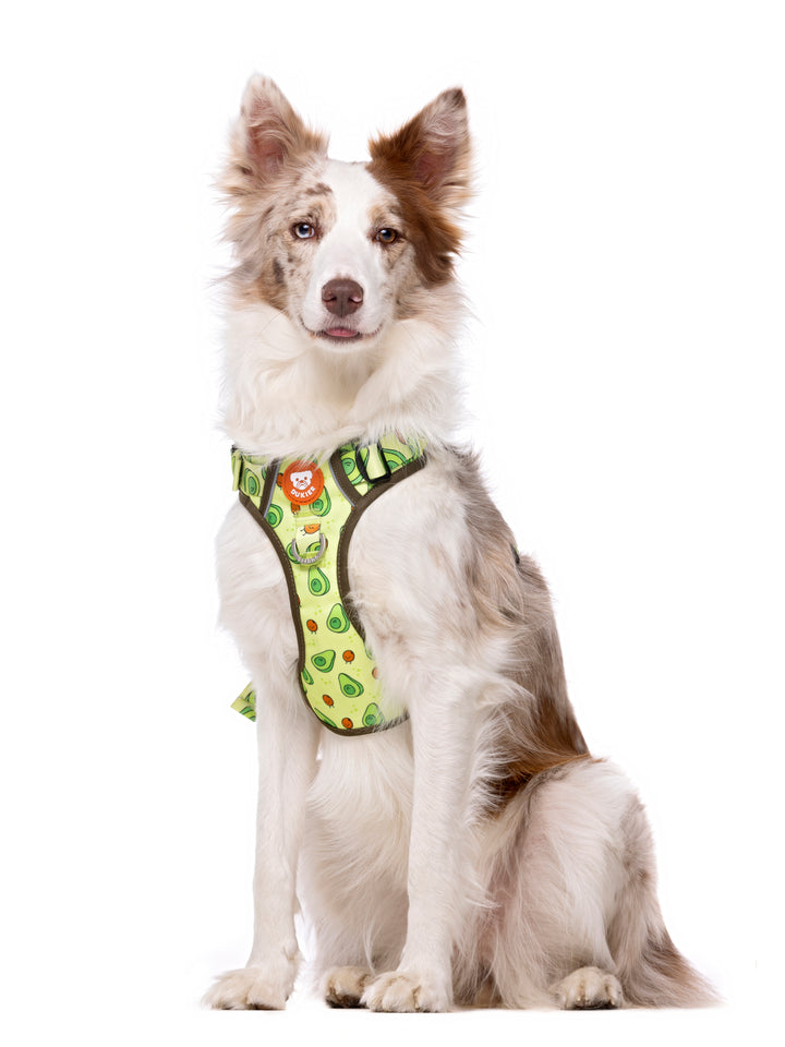 TRAIL HUNDEGESCHIRR AVOCADO