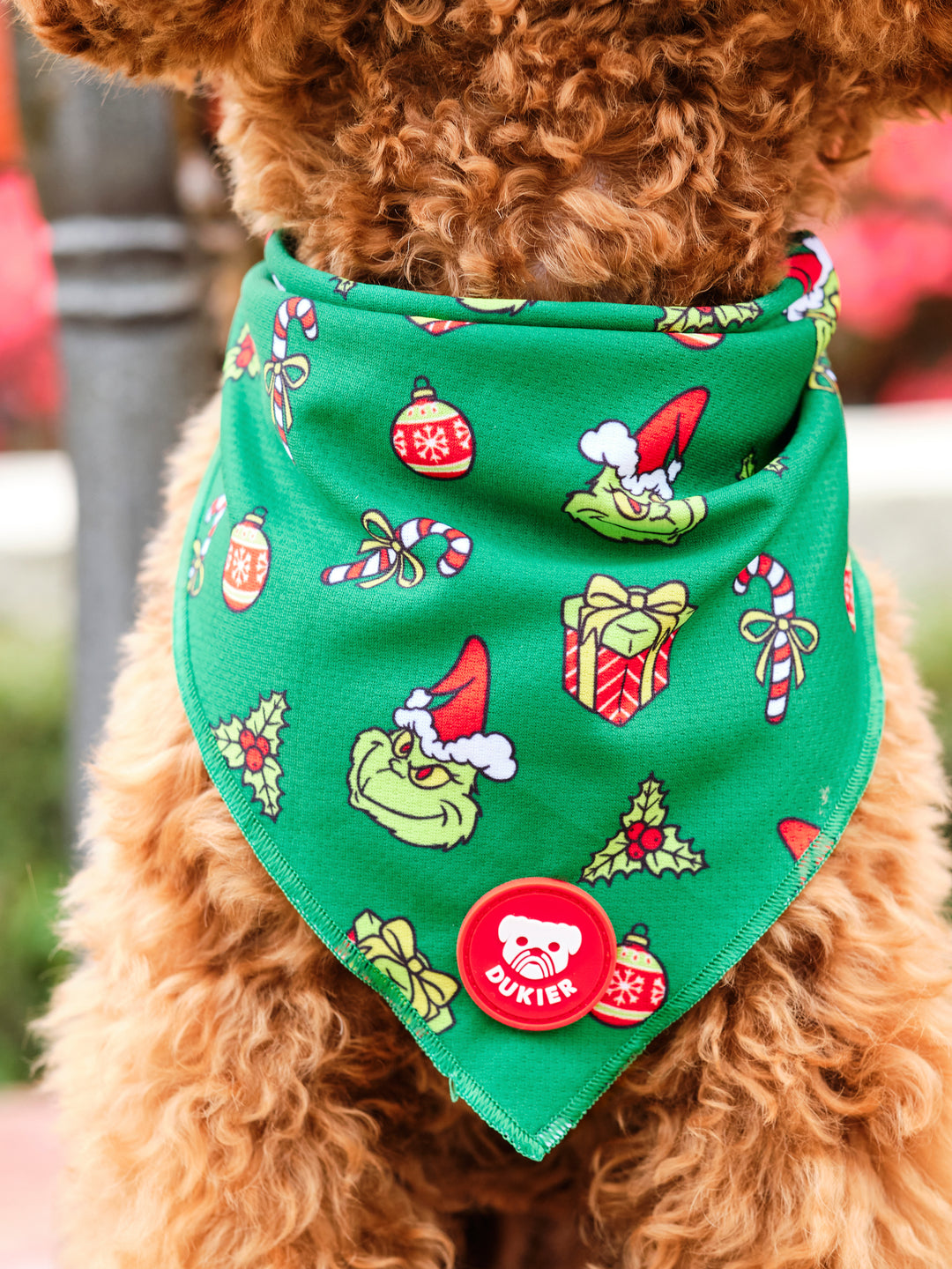 BANDANNA STOLEN XMAS