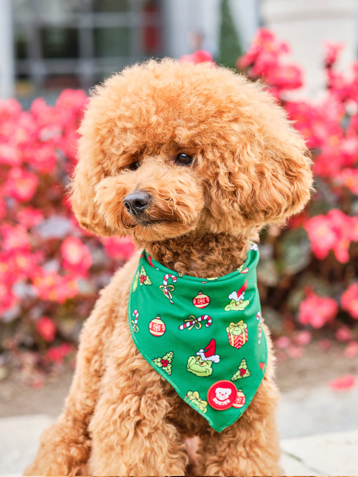 BANDANNA STOLEN XMAS