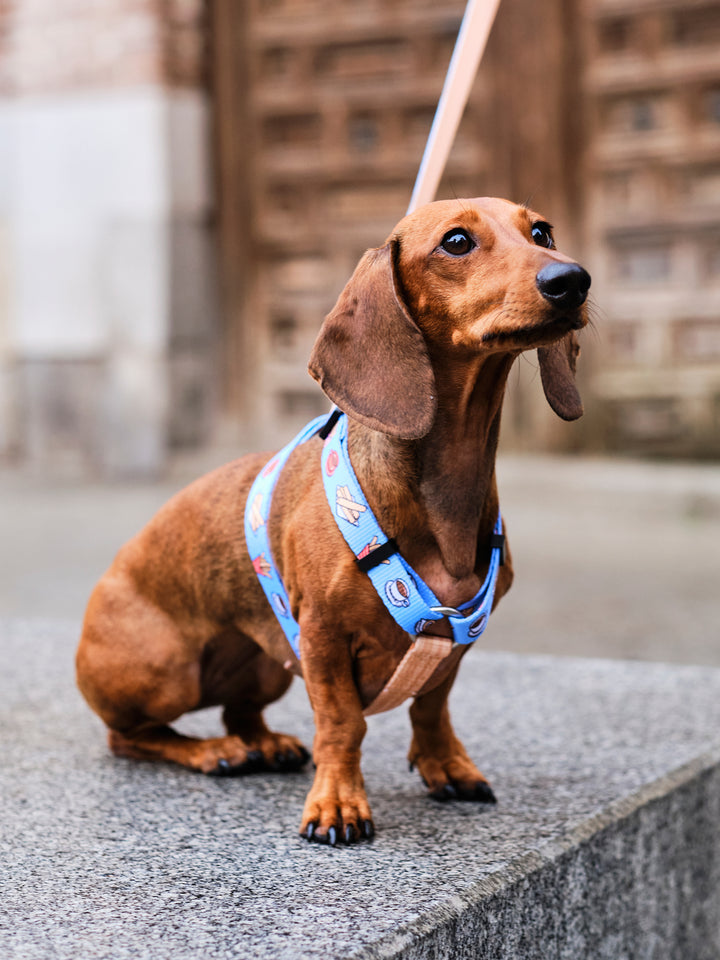 ARNÉS CLÁSICO PARA PERRO CHURROS