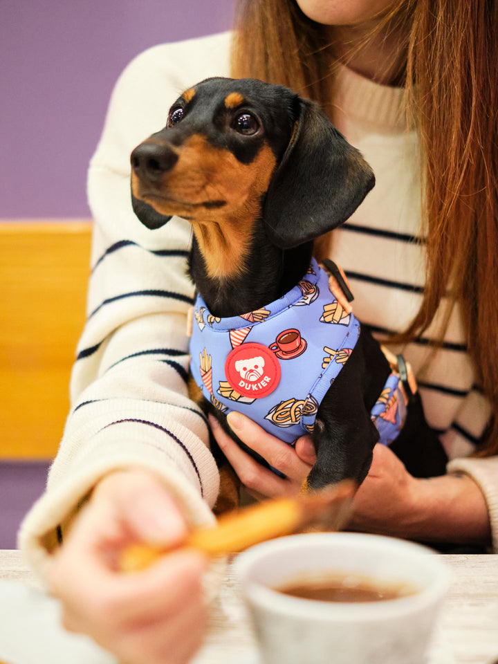 PETTORINA REGOLABILE PER CANE CHURROS