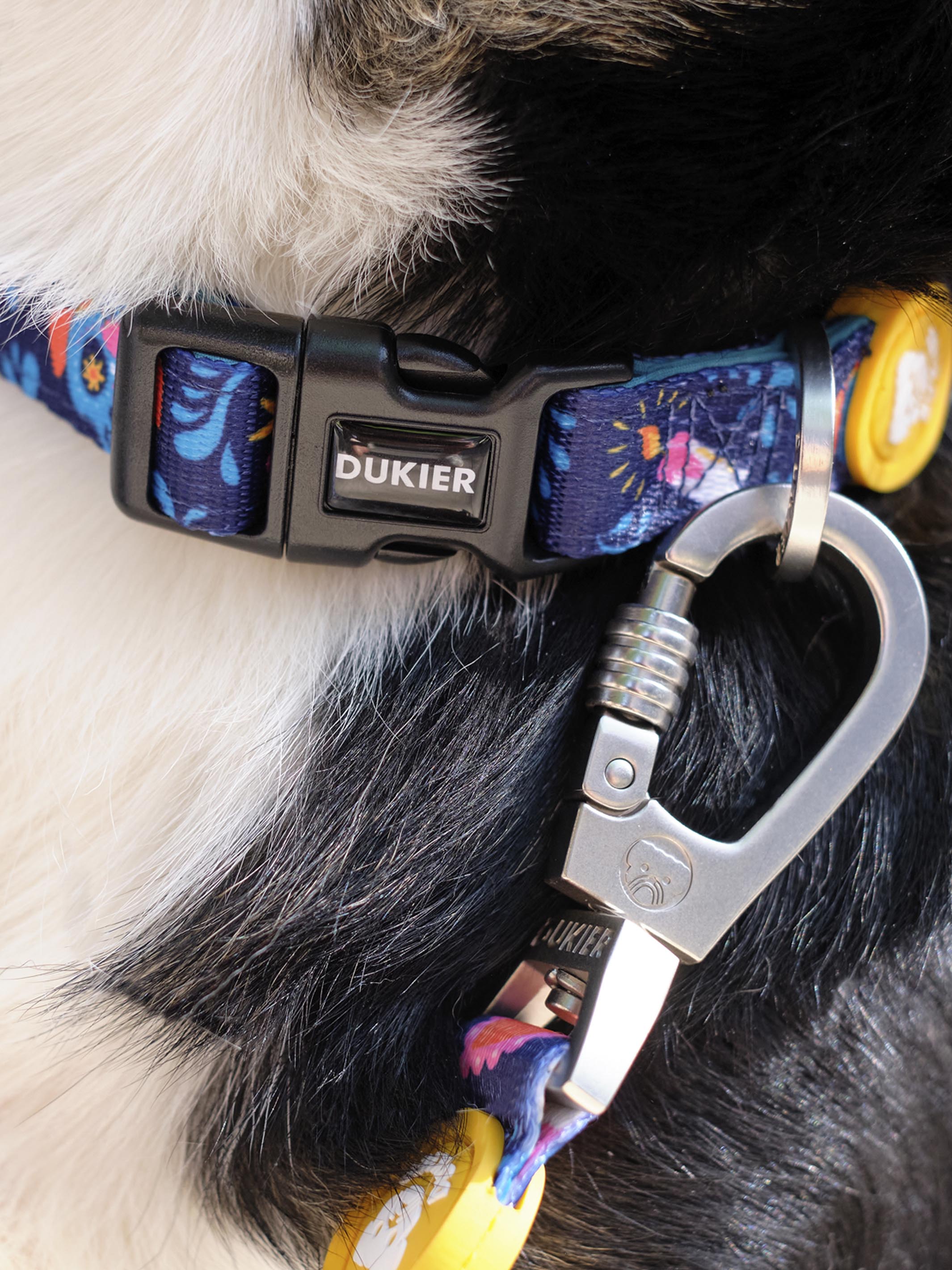 CATRINA DOG COLLAR