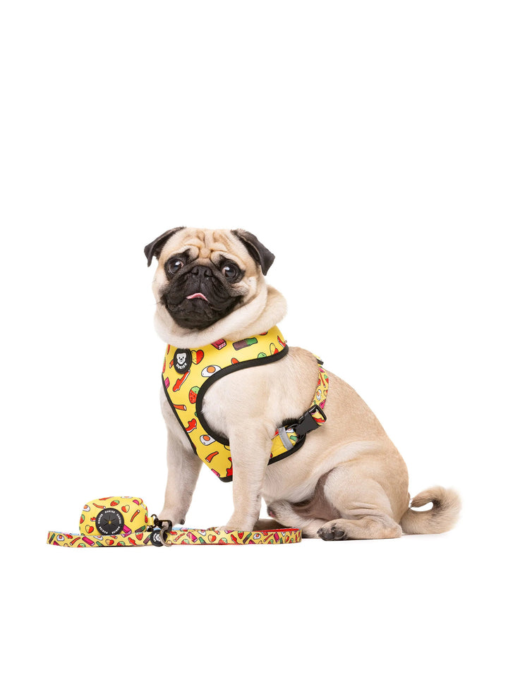SWEETS LEASH FOR DOGS