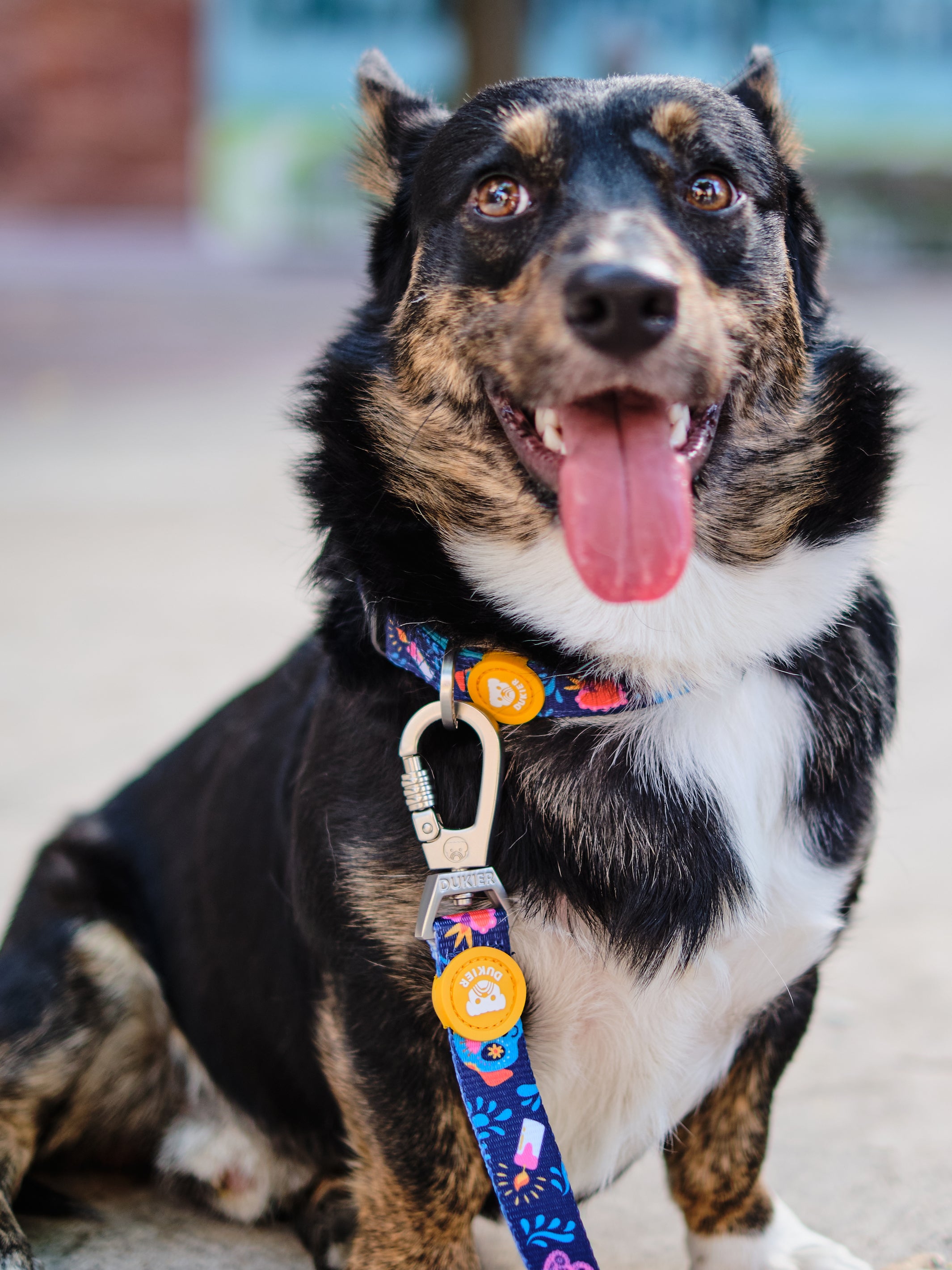 CATRINA LEASH FOR DOGS