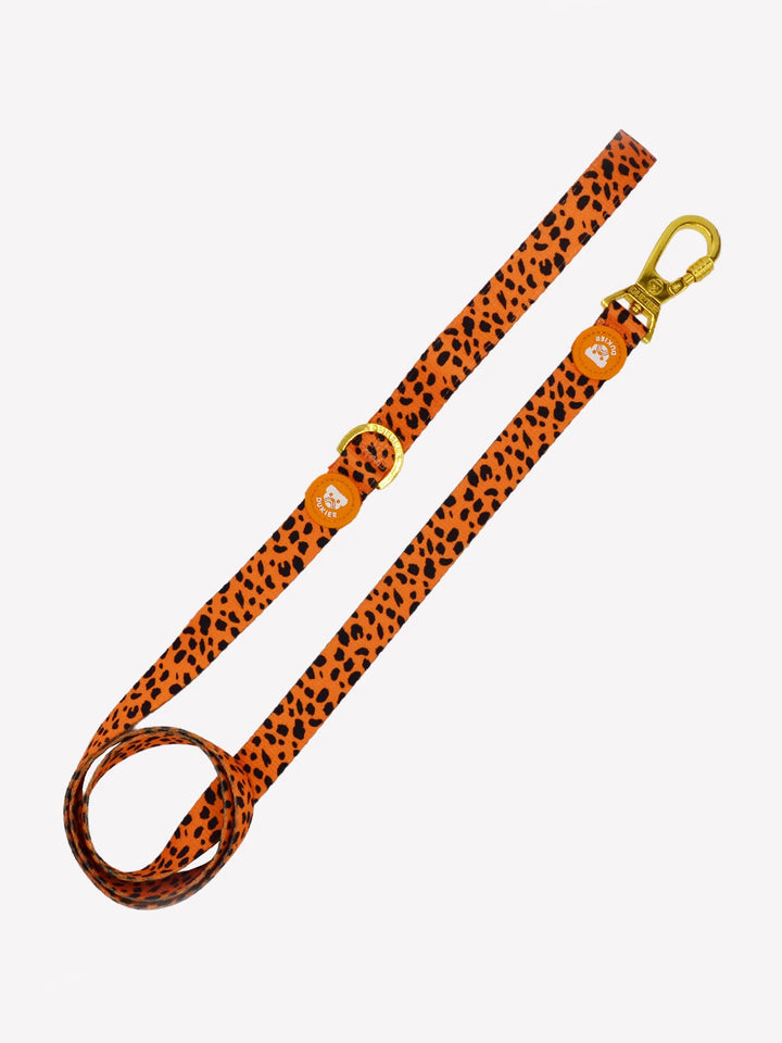 CHEETAH GOLD LEASH FOR DOGS