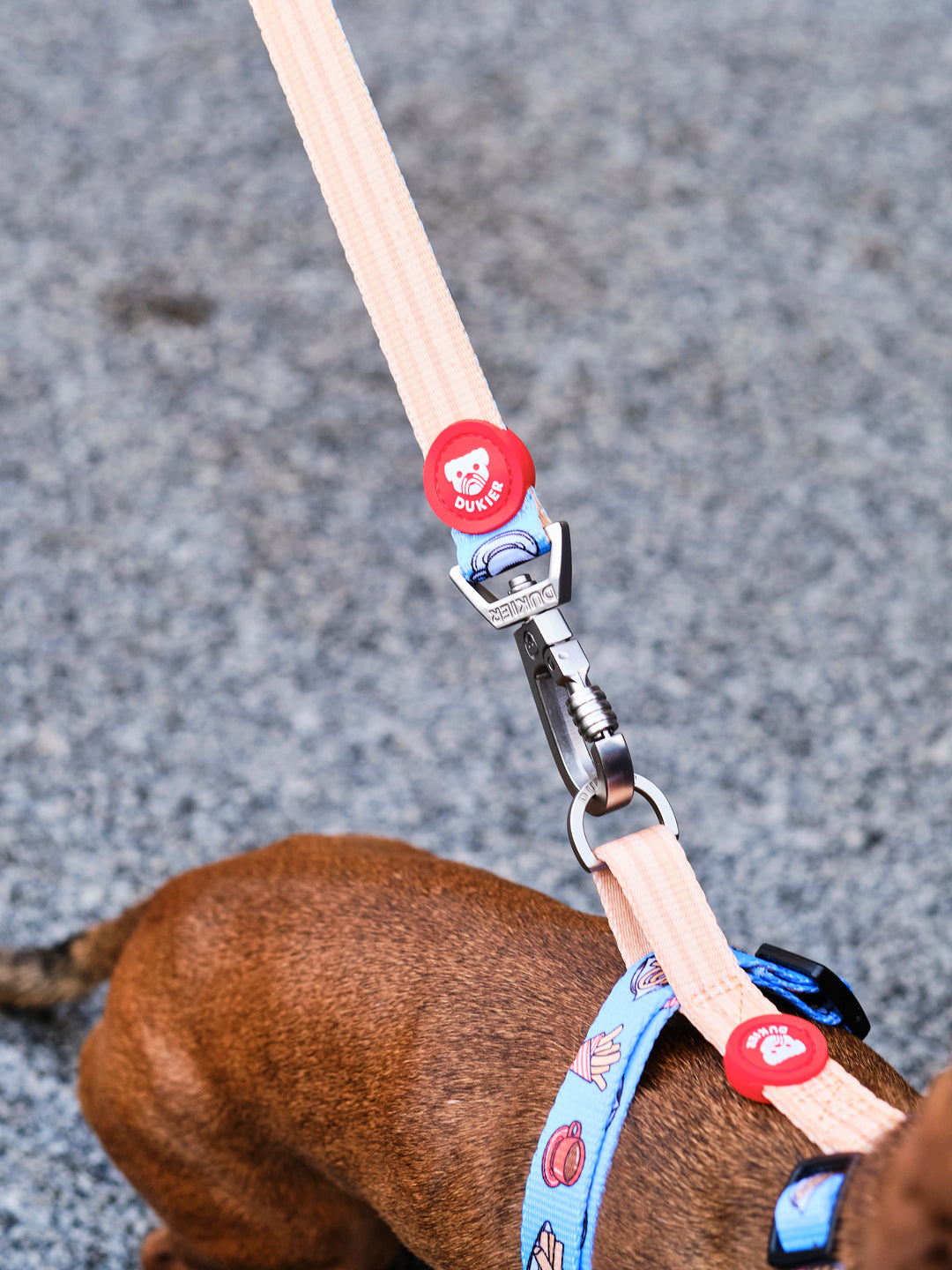 CHURROS LEASH FOR DOGS