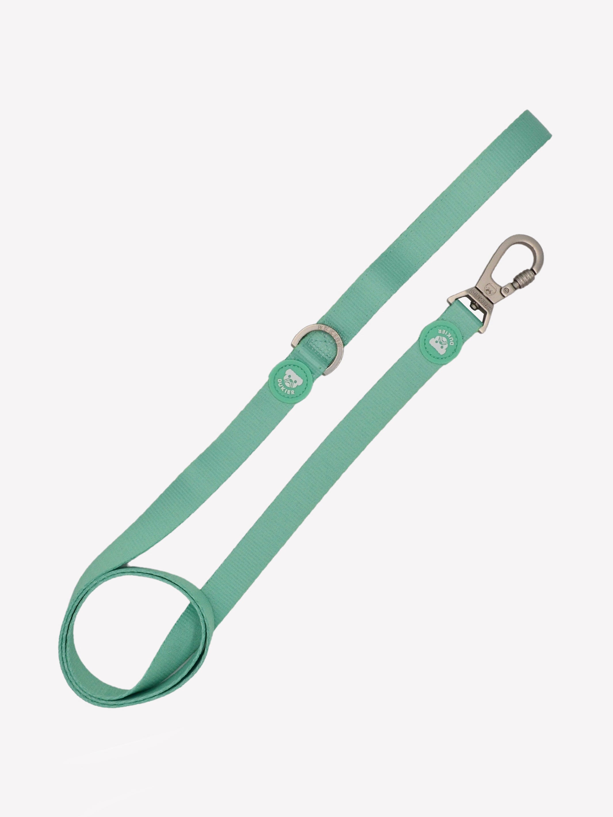MINT LEASH FOR DOGS