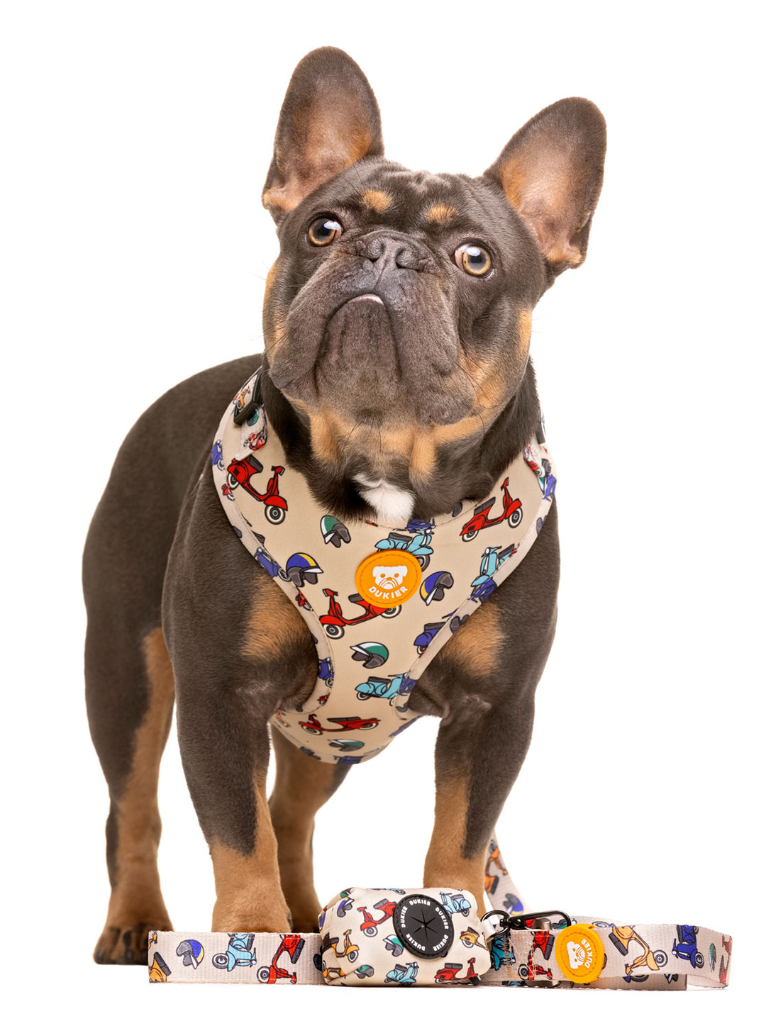 LAISSE SCOOTER POUR CHIEN