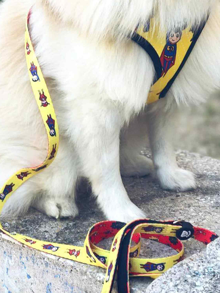 HUNDELEINE SUPERDOG
