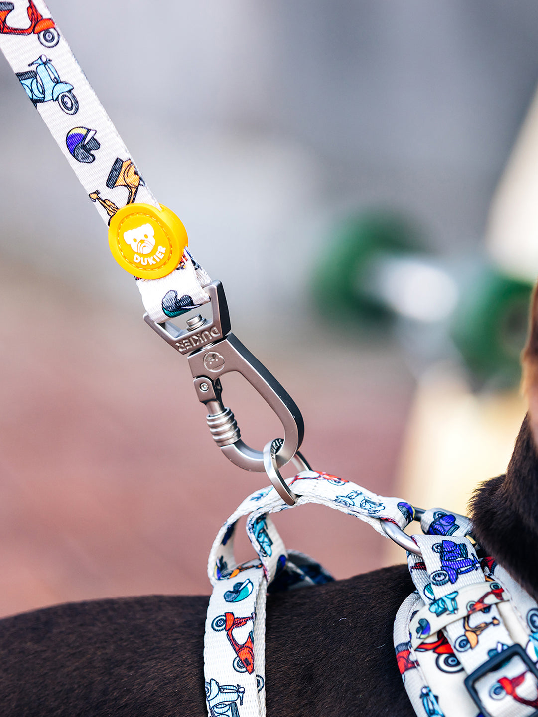 LAISSE SCOOTER POUR CHIEN