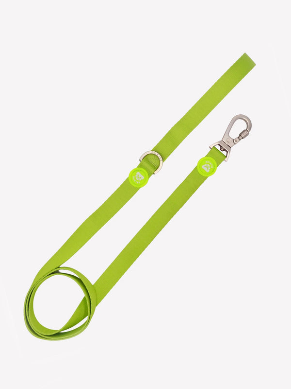 GUINZAGLIO  LIME