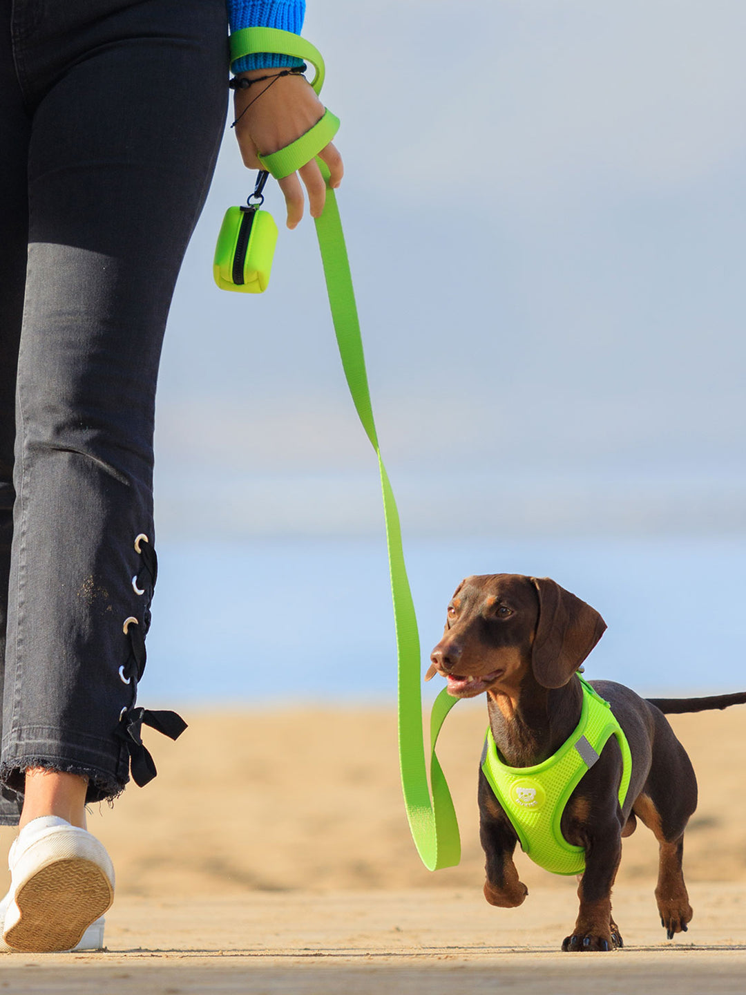 CORREA PARA PERRO YELLOW
