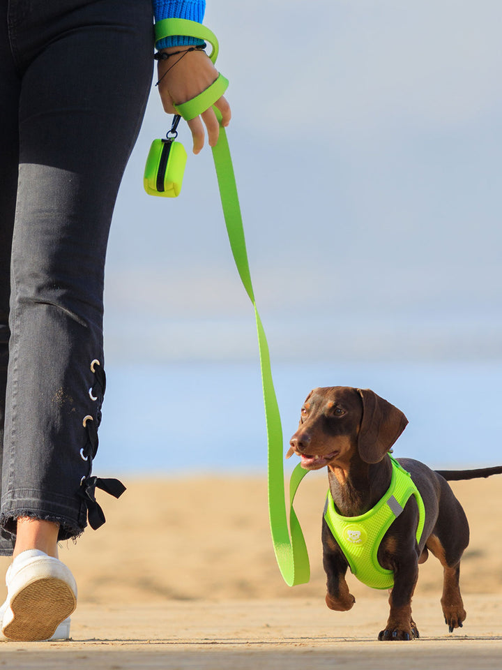 CORREA PARA PERRO YELLOW