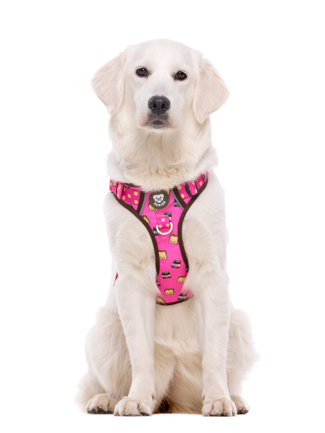 TRAIL DOG HARNESS DOGTELLA