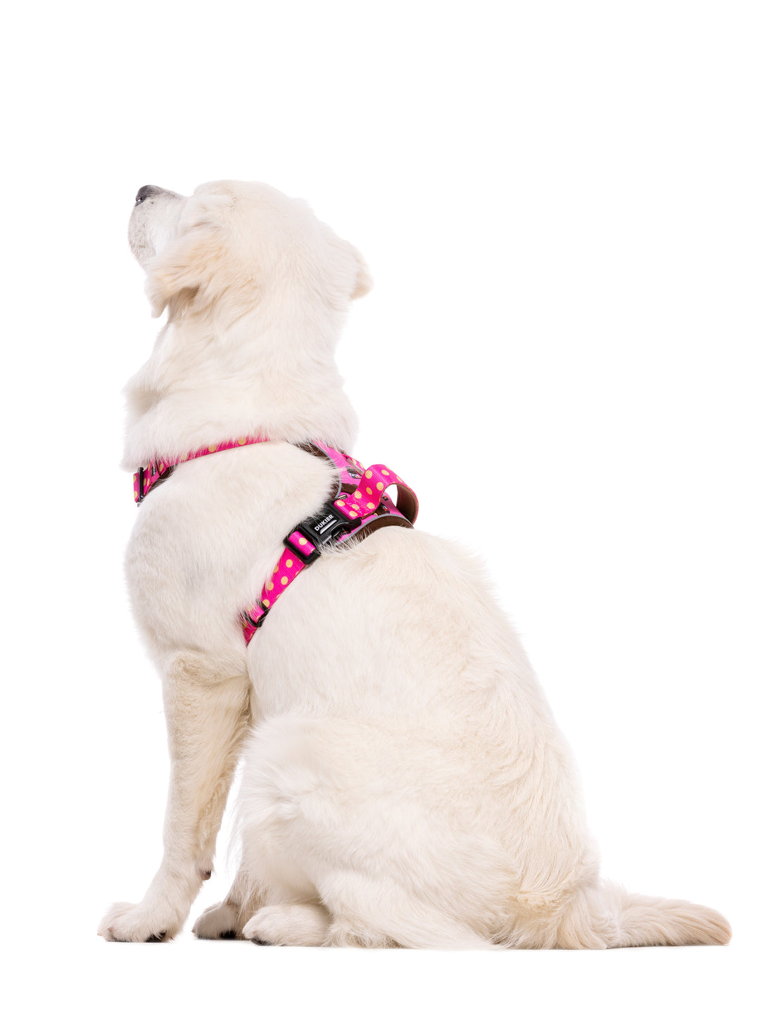 TRAIL DOG HARNESS DOGTELLA