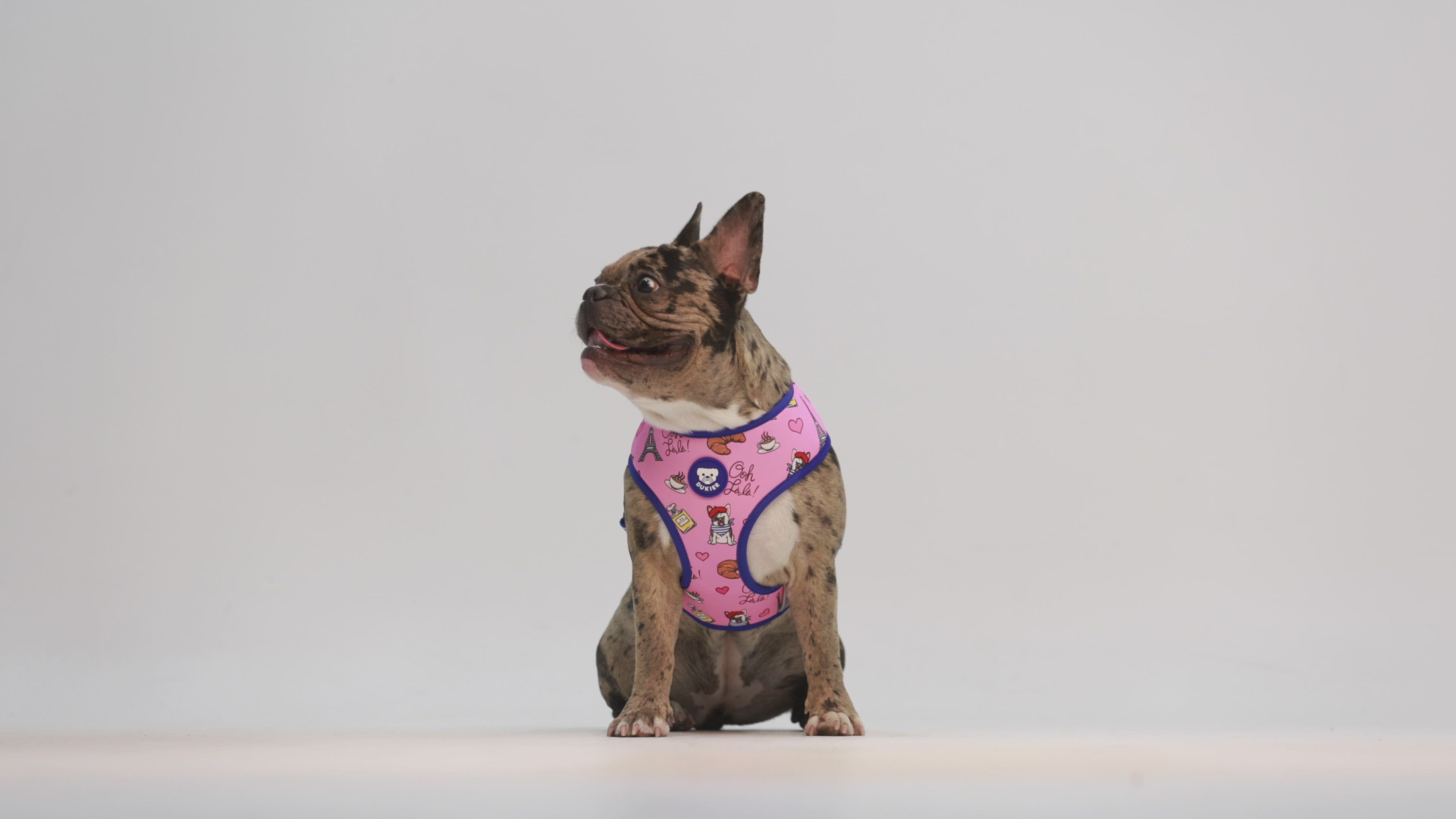 PARIS REVERSIBLE DOG HARNESS