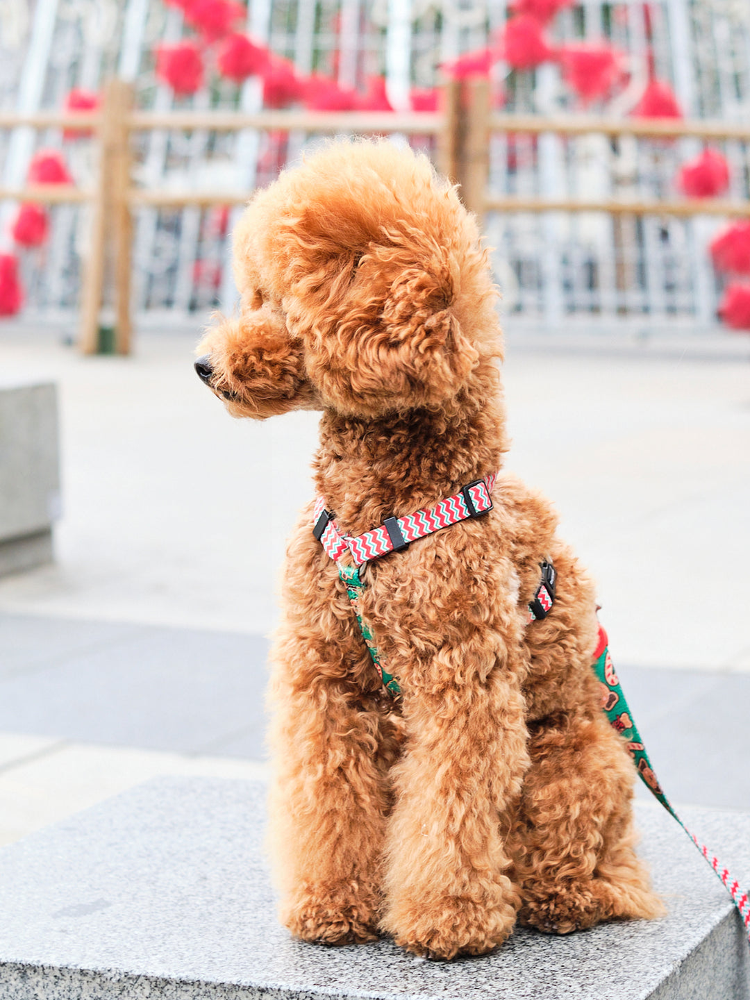 CLASSIC HARNESS GINGER BREAD FOR DOGS